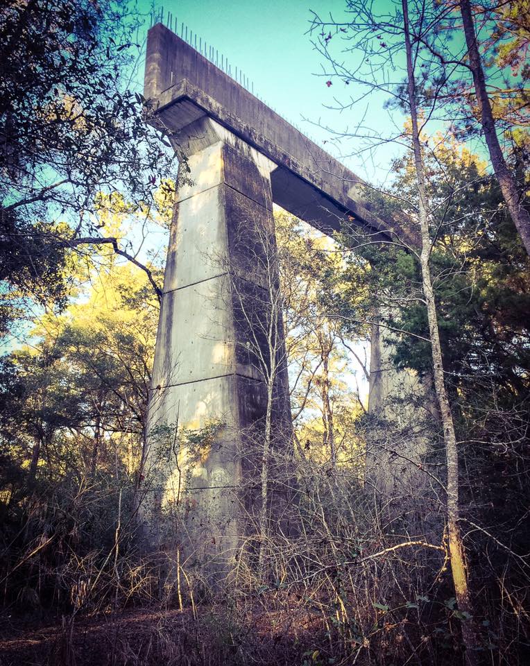 16114714_10212162140427990_206543616881318911_n